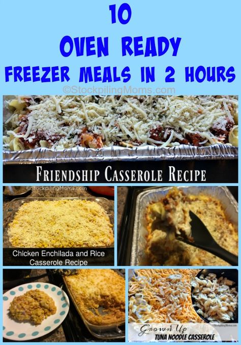 Loaded Chicken and Potatoes Casserole Frugal Freezer Meals, One Pan Freezer Meals, Freezer Meals For Family, Large Family Meal Prep, No Cook Freezer Meals, Cook Steak In Oven, Freezer To Oven Meals, Oven Veggies, Friendship Casserole