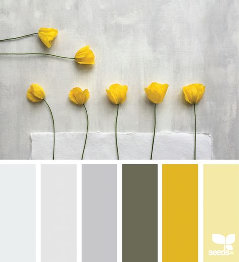 Poppy Yellow Yellow Colour Scheme, Color Palette Yellow, Diy Backsplash, Palette Design, Grey Color Palette, Yellow Bedroom, Grey Color Scheme, Trendy Living Rooms, Room Paint Colors