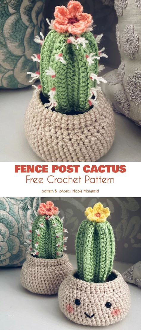 Blossoming Projects, Free Crochet Patterns Crochet Fence, Amigurumi Plants, Crochet Cactus Free Pattern, Cactus En Crochet, Crochet Succulent, Confection Au Crochet, Crochet Cactus, Crochet Plant, Crochet Amigurumi Free Patterns