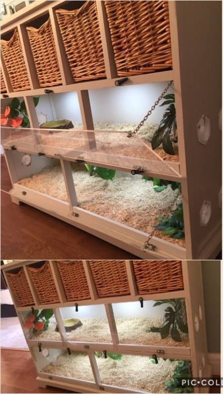 Snake Vivarium, Diy Bearded Dragon Enclosure, Snake Pet, Snake Cages, Terrariums Diy, Diy Reptile, Bearded Dragon Diy, Snake Terrarium, Bearded Dragon Terrarium