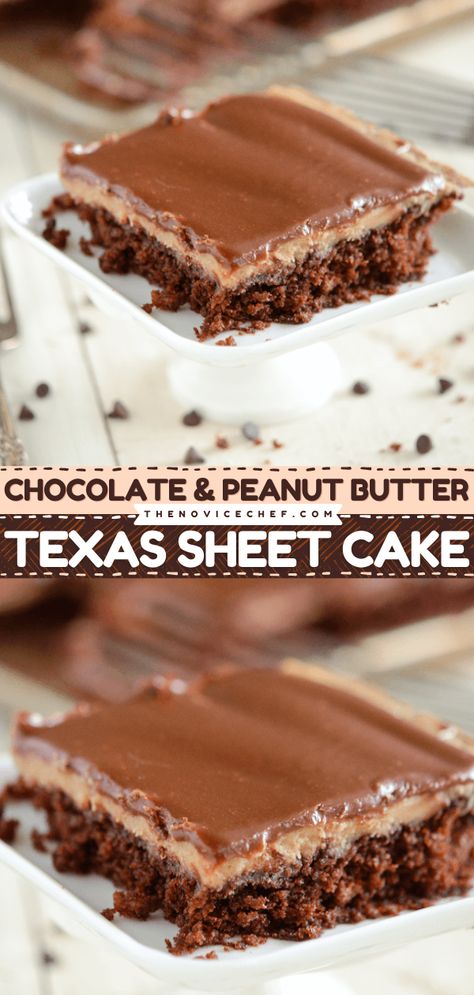 Chocolate and Peanut Butter Texas Sheet Cake Peanut Butter Sheet Cake, Texas Sheet Cake Recipe, Cake Varieties, Chocolate Mayonnaise Cake, Hog Heaven, Texas Sheet, Decadent Chocolate Desserts, Chocolate Peanut Butter Cake, Texas Sheet Cake