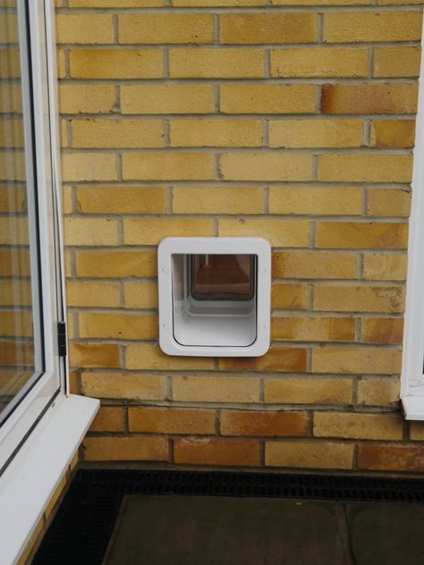 CAT FLAP FITTING, through walls, doors, UPVC panels and double glazed units Cat Flap Door, Cat Door In Wall To Outside, Cat Flap In Wall, Cat Flap In Glass Door, Cat Flap Ideas, Victorian Kitchen Extension, Crittal Doors, Hinged Patio Doors, Cat Enclosures