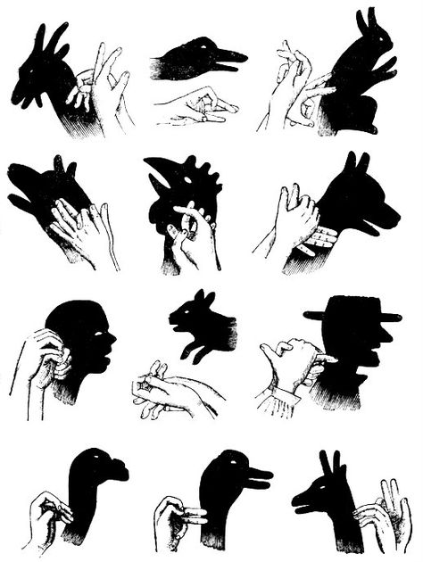 Hand Shadows, Optical Illusion Drawing, Illusion Drawings, Magic Hands, Hand Carved Stamps, Shadow Pictures, Shadow Art, Shadow Puppets, Weird Pictures