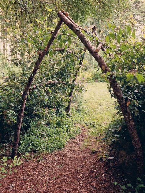 Squash Arch, Diy Garden Landscaping, Garden Archway, Garden Arbor, Have Inspiration, The Secret Garden, Budget Diy, Garden Trellis, Garden Structures