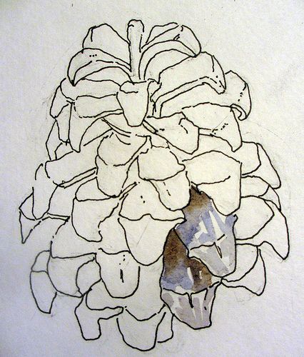 Pine Cone Drawing, Cone Drawing, Watercolor Masters, Jane Lafazio, Flowers Mandala, Mandala Ideas, Figure Art, Drawing Flowers, Watercolor Subjects