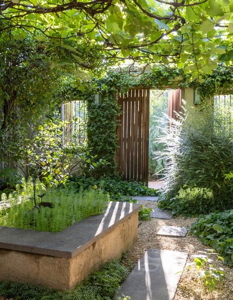 The Perfect Mid-Century, NSW South Coast Beach House Is For Sale Small Walled Garden Ideas, Hidden Garden Ideas, Magical Landscaping, Simple Gardens, Garden Focal Point, Courtyard Wall, Terracotta Garden, Terraced Garden, Letchworth Garden City