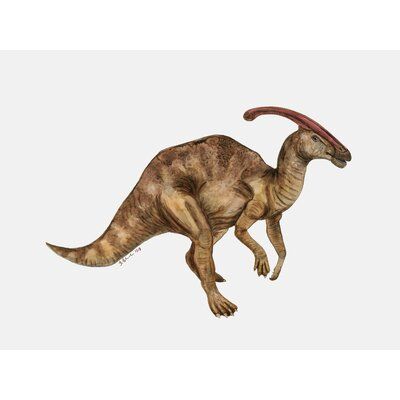 Harriet Bee Solana Dinosaur Portrait Parasaurolophus Canvas Art Size: 24" H x 30" W x 1.5" D Brown Dinosaur, Dinosaur Nursery Art, Boy Room Wall Decor, Dinosaur Wall Decor, Dinosaur Room, Dinosaur Wall Art, Animals Farm, Prehistoric Art, Dinosaur Nursery