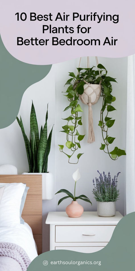 Discover the 10 best air purifying plants for a healthier bedroom! These plants not only beautify your space but also improve indoor air quality, promoting better sleep and well-being. 🌿✨ #AirPurifyingPlants #HealthyBedroom Air Purifying House Plants Pet Safe, Healthy Bedroom, Best Air Purifying Plants, Air Purifying House Plants, Improve Indoor Air Quality, Air Purifying Plants, Air Purifying, Remove Toxins, Indoor Air Quality