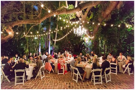 Morgan & Dereck: A Sunken Gardens Wedding in St. Petersburg, Florida - The Ganeys | Fine Art Film Wedding Photographers Sunken Gardens Wedding, Florida Wedding Reception, Sunken Gardens, Garden Weddings Ceremony, Sunken Garden, Florida Wedding Venues, St Petersburg Fl, Wedding Reception Locations, Inexpensive Wedding