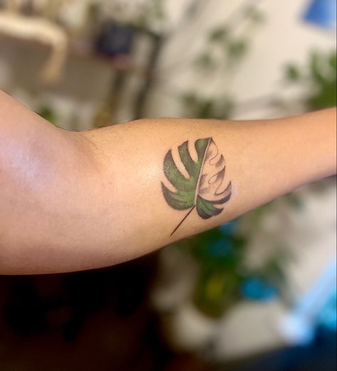 Small Monstera Leaf Tattoo, Mini Monstera Tattoo, Tiny Monstera Leaf Tattoo, Tiny Monstera Tattoo, Monstera Plant Tattoo Ideas, Minimal Monstera Tattoo, Monstera Leaf Tattoo, Monstera Tattoo, Monstera Albo