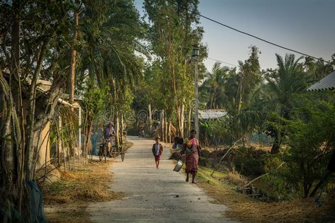 Village life, Sundarban, West Bengal, India. Sundarban, West Bengal, India : January 22, 2020 : A village woman is walking on the path of Goshaba village of stock image West Bengal Village, Village Photography, Walking Paths, January 22, Village Life, West Bengal, Incredible India, Nepal, Beautiful Nature