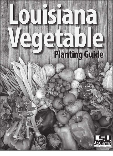 LSU-Ag Planting Guide | PDF | Vegetables | Fertilizer Garden Planting Guide, Fall Vegetables To Plant, Spring Vegetable Garden, Vegetable Planting Guide, Vegetable Planting, When To Plant Vegetables, Planting Guide, Garden Layout Vegetable, Vegetable Garden Planning