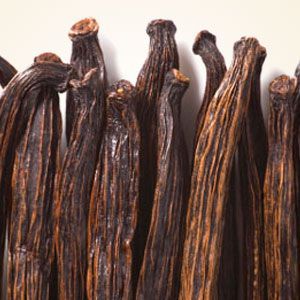 Vanilla Bean Fragrance Oil #NaturesGarden #SoapMakingSupplies #CandleMakingSupplies #FragranceOils Diy Hanging Shelves, Wine Bottle Diy Crafts, Candle Making Supplies, Hand Poured Soy Candles, Wine Bottle Diy, Floating Shelves Diy, Selling Candles, Vanilla Fragrance, Mason Jar Lighting