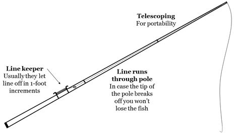 cane pole anatomy Cane Pole Fishing, Fishing Stuff, Fishing Knots, Fishing Pole, Fishing Accessories, Be Successful, Gardening Ideas, Project Ideas, Anatomy