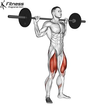 Squats Muscles Worked, Great Leg Workouts, Squat Technique, Killer Leg Workouts, Best Leg Workout, Barbell Squat, Full Body Workout Routine, Upper Body Strength, Strength Training Workouts