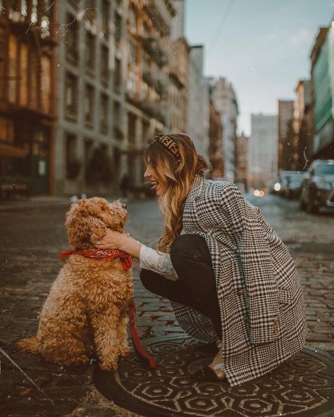 Full Grown Mini Goldendoodle, Goldendoodle Full Grown, Puppy Goldendoodle, Miniature Goldendoodle, Dog Family Pictures, Mini Goldendoodles, Mini Goldendoodle Puppy, Mini Goldendoodle Puppies, Nyc Lifestyle