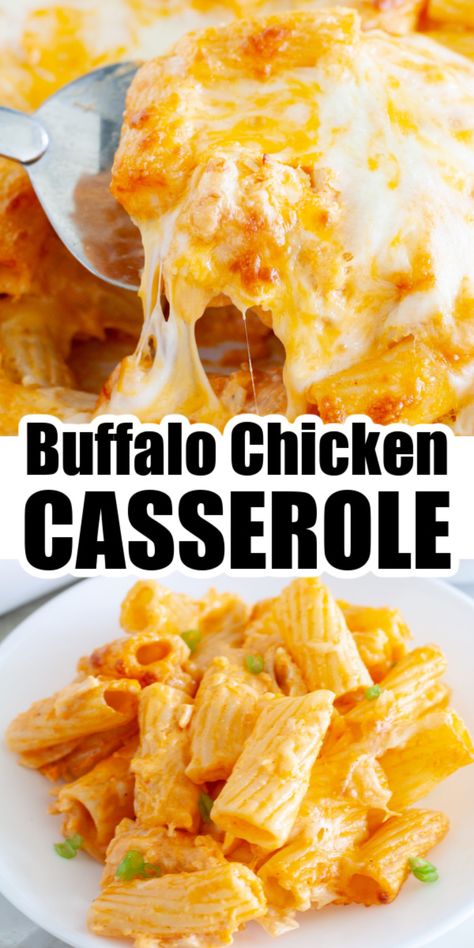 Plate of cheesy pasta. Easy Casserole Dinner, Chicken Pasta Casserole, Easy Chicken Casserole Recipes, Pasta Cheese, Buffalo Chicken Casserole, Easy Buffalo Chicken, Buffalo Chicken Recipes, Chicken Casserole Recipe, Buffalo Chicken Pasta