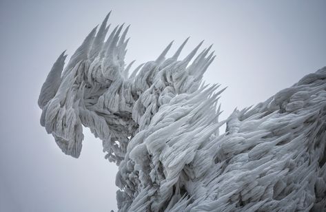 Spectacular Ice Formations Atop a Windswept Mountain in Slovenia  http://www.thisiscolossal.com/2014/12/spectacular-ice-formations-atop-a-windswept-mountain-in-slovenia/ Ice Art, Ice Storm, Ice Sculptures, Winter Beauty, Snow And Ice, Winter Wonder, Extreme Weather, Winter Photography, Slovenia