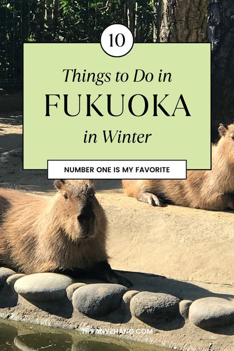 10 Things to do in Fukuoka in Winter! Number one is my favorite. Check out my blog for more: tiffanyzhang.com Things To Do In Fukuoka Japan, Fukuoka Japan Aesthetic, Fukuoka Outfit, Japan Planning, Japan In Winter, Japan Outfit Winter, Japan With Kids, Japan Winter, Japan Sakura