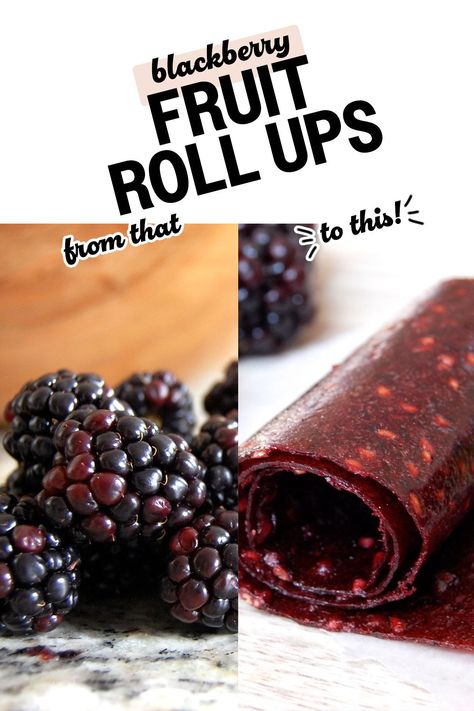 This homemade fruit roll-up recipe uses fresh blackberries for an incredibly wholesome treat. Fruit Leather Recipe Oven, Fruit Roll Ups Homemade, Paleo Fruit, Blackberry Fruit, Fruit Leather Recipe, Keto Snacks Easy, Roll Ups Recipes, Fruit Roll, Fruit Leather