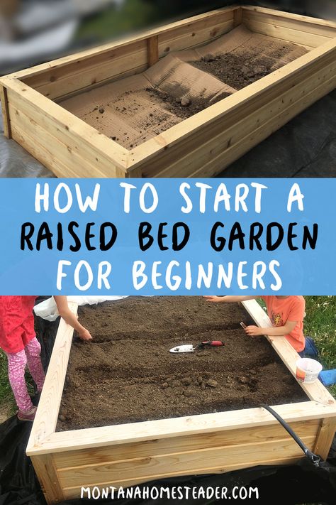 How to Start a Raised Bed Vegetable Garden for Beginners Raised Bed Filler Ideas, Raised Garden Beds Diy Layout, Box Garden Ideas Raised Beds, Raised Bed Garden Layout, Raised Bed Vegetable Garden, Above Ground Garden, Raised Garden Beds Diy Vegetables, Garden For Beginners, Garden Bed Layout