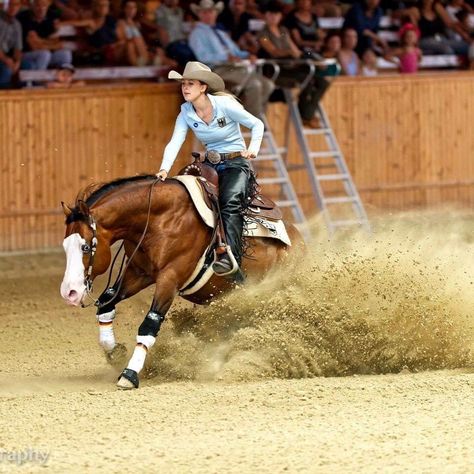 Horse Show Aesthetic Western, New Horse Arrival, Western Reining Horse, Reigning Horses, Colorado Ranger Horse, Riding Outfits Western, Working Cow Horse, Horse Senior Pictures, Horse Reining