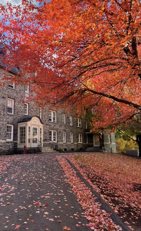 Colgate University, University Aesthetic, Gilmore Girls Seasons, Fall Mood Board, College Aesthetic, Season Of The Witch, Best Seasons, Autumn Cozy, We Fall In Love