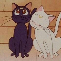 Sailor Moons, Sailor Moon Cat, Luna And Artemis, Moon Icon, Vintage Cartoons, Sailor Moon Aesthetic, Sailor Moon Wallpaper, Japon Illustration, Anime Fairy