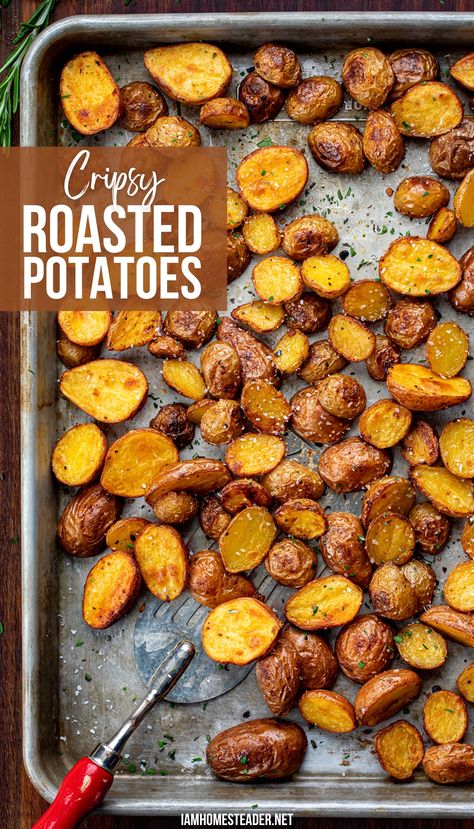 A silver baking pan is covered with crispy roasted potatoes, next to them in the span is a silver spatula with a red handle. Mini Roasted Potatoes In Oven, Mini Potatoes In Oven, Baby Potatoes Roasted, Crispy Potatoes In Oven, Oven Roasted Baby Potatoes, Baked Baby Potatoes, Crispy Roasted Potatoes, Rosemary Roasted Potatoes, Potatoes Roasted