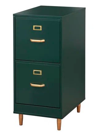 Mercer41 Dahle 2-Drawer Vertical Filing Cabinet | Wayfair 3 Drawer File Cabinets, Dark Green Filing Cabinet, Aesthetic Filing Cabinet, Green Filing Cabinet, Cute File Cabinet, Painting File Cabinet, Cute Filing Cabinet, Filing Cabinet Ideas, File Cabinet Ideas