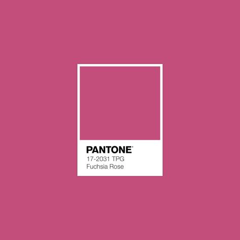 #Pantone Fuchsia Rose #luxurydotcom Pantone Red, Pink Yarrow, Pantone Swatches, Pantone Palette, Color Pantone, Pantone Colour Palettes, Pink Peacock, Colour Board, Color Swatch