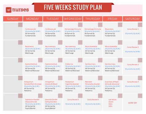 Five Weeks Study Plan                                                                                                                                                      More School Study Schedule, Nclex Study Guide Cheat Sheets, Nclex Pn Study Guide, Nclex Study Schedule, Study Plan Template, Study Calendar, Study Schedule Template, Nclex Study Plan, Nclex Study Guide