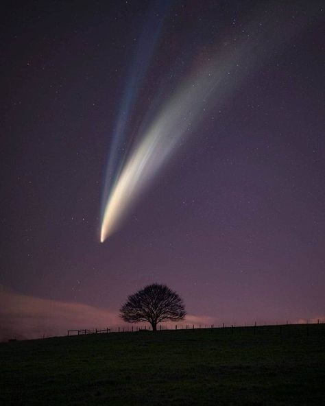 Hale Bopp Comet, Comet Photography, Comet Aesthetic, Comet Drawing, Neowise Comet, Comet Neowise, Halley's Comet, Mandala Wallpaper, Sky Full Of Stars