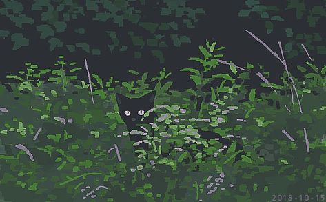 The Grass, Desktop Wallpaper, Forest, On Twitter, Twitter, Plants, Green, Black