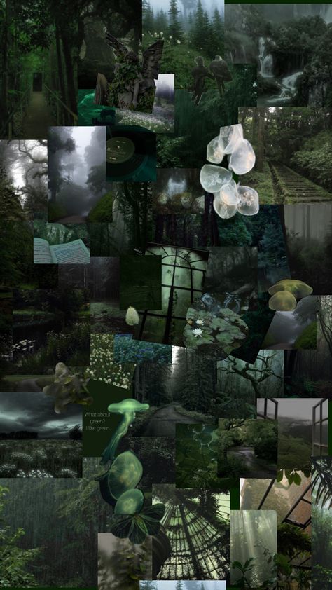 Dark Green Aesthetic Collage, Aesthetic Nature Dark, Dark Green Collage, Winter Wallpapers Aesthetic, Dark Green Aesthetic Wallpaper, Green Aesthetic Collage, Green Aesthetic Tumblr, Green Collage, Green Aesthetic Wallpaper