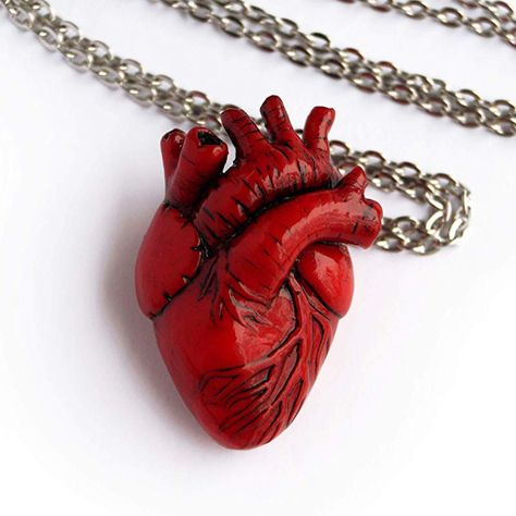 Anatomical Heart Necklace Realistic Red Human Heart Pendant Anatomical Heart Necklace, Medical Student Gift, Anatomical Heart, Clay Jewelry Diy, Heart Brooch, Student Gift, Diy Clay Crafts, Clay Charms, Girly Jewelry