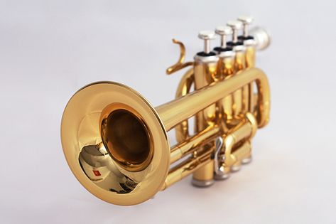 Piccolo Instrument, Piccolo Trumpet, Old Musical Instruments, Woodwind Instrument, Brass Instruments, Woodwind Instruments, Louis Armstrong, Trumpets, World Music