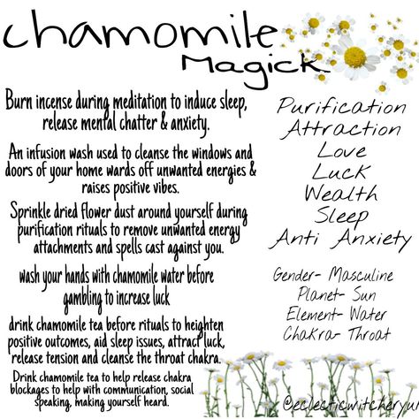 Eclecticwitcheryuk on Instagram: “Chamomile 🌼 Spiritual & Magickal Uses 🔮 For more witchy & spiritual support check out my page 👇 @eclecticwitcheryuk - Slowly creating an…” Planet Sun, Healing Codes, Kitchen Witchery, Spell Cast, Herbal Magic, Sleep Issues, Chamomile Tea, Spells Witchcraft, Chamomile Flowers