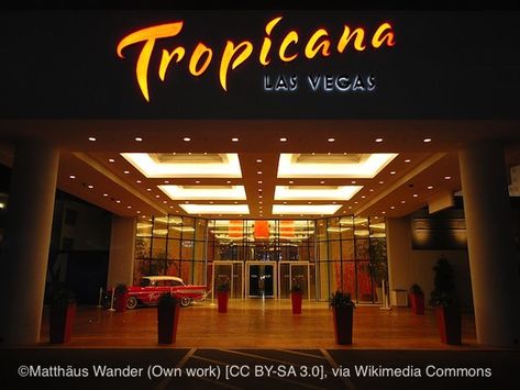 Bob Sehlinger, author of The Unofficial Guide to Las Vegas, reviews the Tropicana. Tropicana Las Vegas, Aces And Eights, Poker Machine, Hotel Sales, Vegas Hotels, Club Photos, Las Vegas Resorts, Visit Las Vegas, Las Vegas Shows