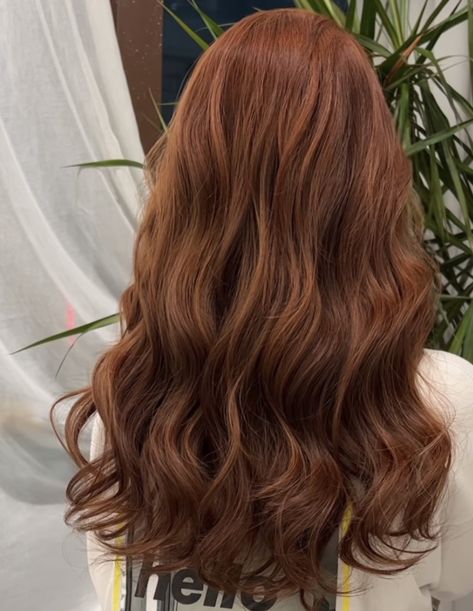 Cafe Hair Color, Auburn Hair With Brown Lowlights, Brown Red Hair Natural, Hair Color Ideas Ginger Brown, Hair Color Ginger Brown, Kdrama Hair Color, Brown Hair With Ginger Balayage, Dark Cooper Short Hair, Orange Brownish Hair