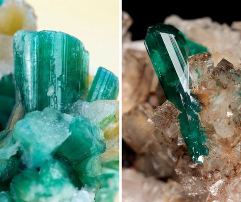 You searched for Tourmaline vs emerald - Rock Seeker Chrome Tourmaline, Light Filters, Silicate Minerals, Tourmaline Crystal, Rock Hounding, Natural Forms, Green Tourmaline, Just The Way, Deep Green