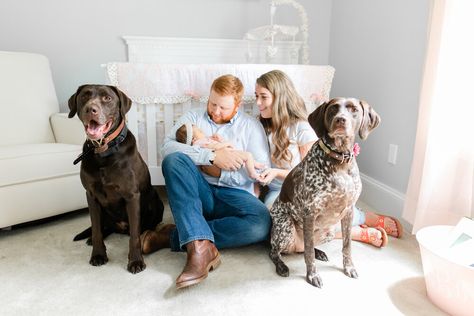 Dogs And Newborns Photography, Newborn Family Photos Dog, At Home Newborn Pictures With Dog, Newborn Shoot With Dog, Newborn Lifestyle Photography At Home With Dog, Newborn Pics With Dogs, Lifestyle Newborn Photography With Dog, Newborn Pictures With Dogs, Newborn Baby Photography With Dog