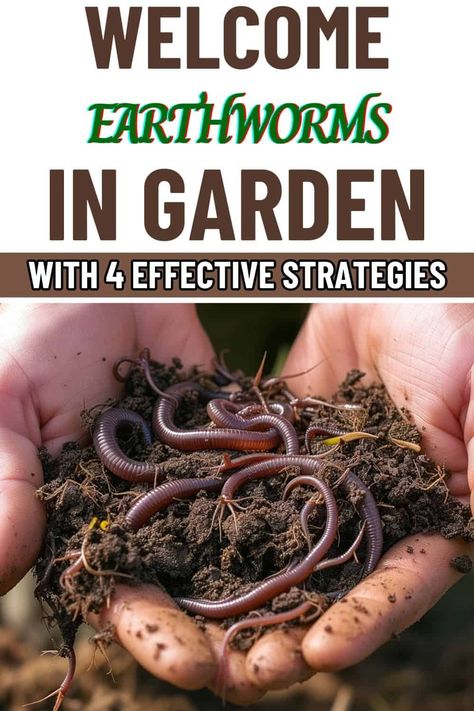 4 Effective Strategies to Welcome Earthworms into Your Garden Worm Beds How To Make A, Worm Beds, Diy Fertilizer, Rock Pathway, Mailbox Landscaping, Garden Hacks, Chinese Money Plant, Backyard Greenhouse, Money Plant