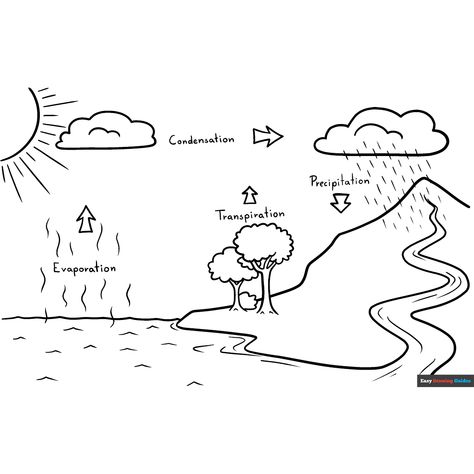 Free Water Cycle Coloring Page for Kids Water Cycle Drawing, Draw Water Cycle, Water Cycle Coloring Page, Water Cycle Worksheet Kindergarten, Rocket Coloring Sheet, Water Cycle For Kids, Water Cycle Diagram Science, Water Cycle Diagram, Cycle Pictures