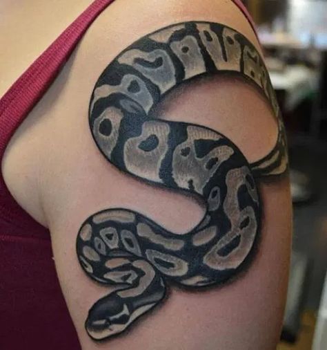 Python Tattoo Design, Python Tattoo, Ball Python Snake, Snake Tattoos, Python Snake, Tattoo Design Ideas, Ball Python, Snake Tattoo, Tattoo Design