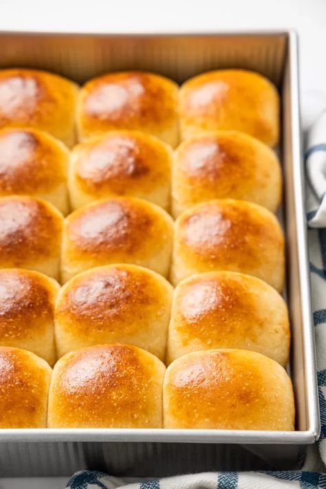 Sourdough Dinner Rolls Recipe Sourdough Dinner, Sourdough Dinner Rolls, Sourdough Rolls, Fluffy Dinner Rolls, Dinner Roll, Hawaiian Sweet Rolls, Potato Roll, Food Charlatan, Homemade Dinner Rolls