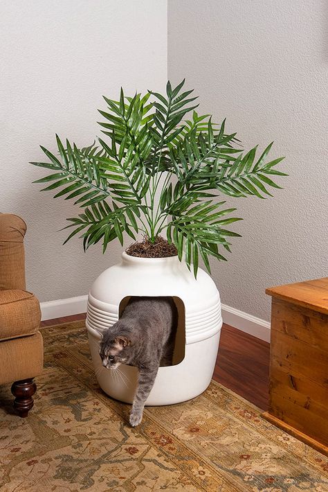 Plant Litter Box, Hiding Cat Litter Box, Best Litter Box, Hidden Litter Boxes, Best Cat Litter, Cat Litter Box Enclosure, Litter Box Furniture, Litter Box Enclosure, Cat Litter Box Furniture