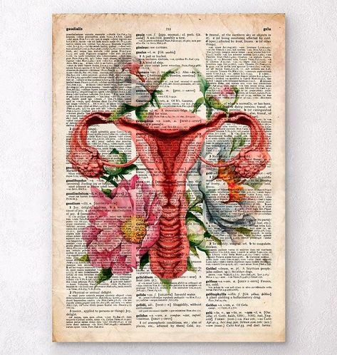 Uterus anatomy diagram art on a dictionary page – Codex Anatomicus Uterus Anatomy, Codex Anatomicus, Anatomy Of Human, Victorian Home Ideas, Vintage Chalkboard, Brain Art, Cabinet Medical, Dictionary Page, Human Brain