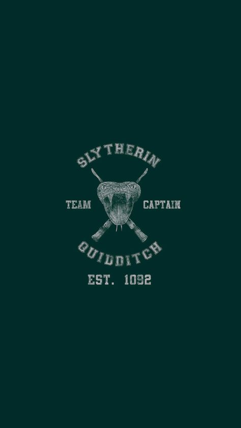 Quidditch Aesthetic, Slytherin Princess, Slytherin Quidditch, Harry Potter Wallpaper Backgrounds, Slytherin Wallpaper, Harry Potter Iphone, Harry Potter Quidditch, Harry Potter Poster, Draco Malfoy Aesthetic