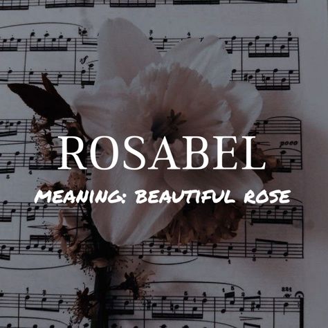 English meaning "beautiful rose” Rose Name Aesthetic, A Rose By Any Other Name, Rose Name Meaning, Ruelle Name Meaning, Names That Mean Rose, Beautiful Names With Meaning, Meaningful Names Unique, Female Names With Meaning, Rare Beautiful Names